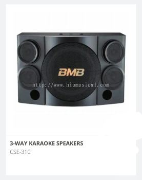 BMB CSE 310 Karaoke Speaker