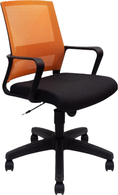60L ELNT Series - Low Back Mesh Chair   