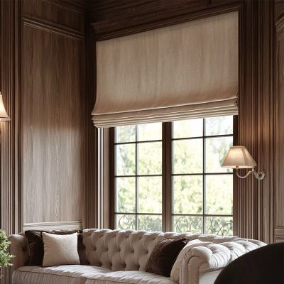 Beige Roman Shades