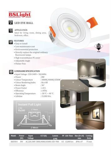 BSLight 8w LED Eyeball Catalog