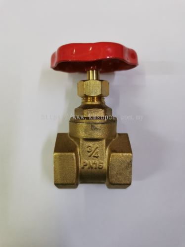 CHILLED WATER PIPING 3/4" GATE VALVE