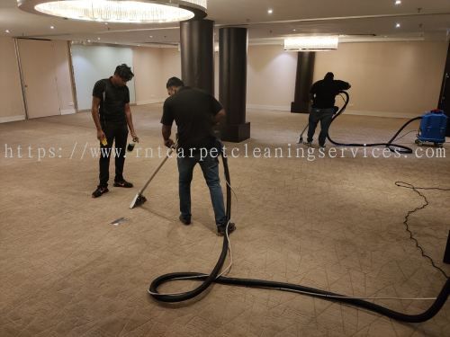 Rugs & Carpet Cleaning 